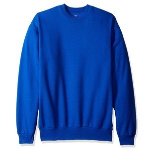 FREE ITEM Hanes EcoSmart Sweatshirt